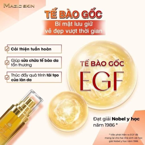 Tinh chất phục hồi EGF Magic Skin - Ảnh 4